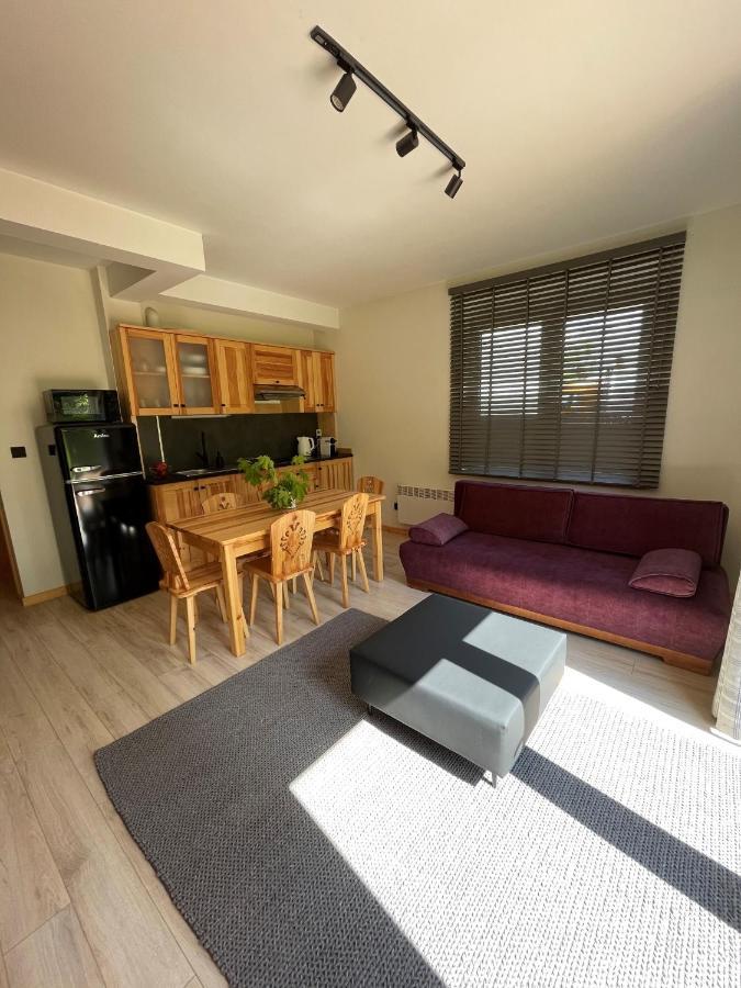 Apartament Zakopane Willa Hrube Parter Z Tarasem I Kominkiem 외부 사진