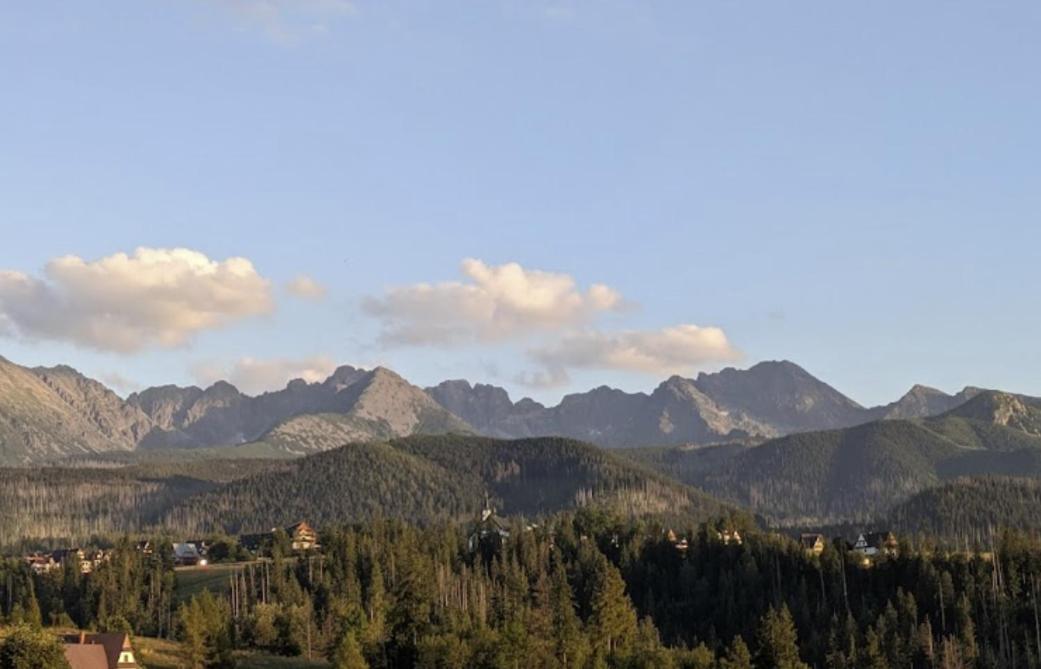 Apartament Zakopane Willa Hrube Parter Z Tarasem I Kominkiem 외부 사진